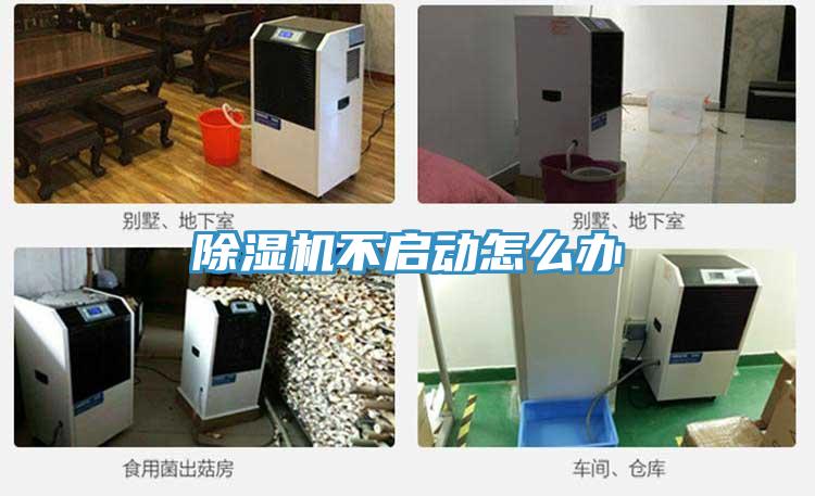草莓视频污污污污不啟動怎麽辦