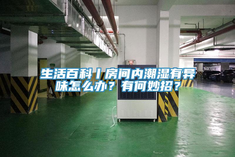 生活百科丨房間內潮濕有異味怎麽辦？有何妙招？