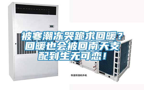被寒潮凍哭跪求回暖？回暖也會被回南天支配到生無可戀！