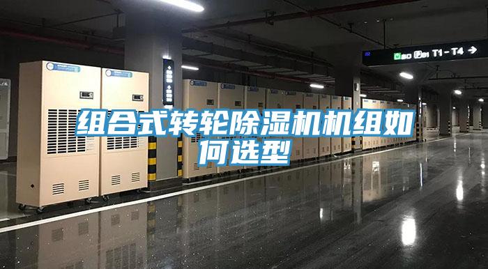 組合式轉輪草莓视频污污污污機組如何選型