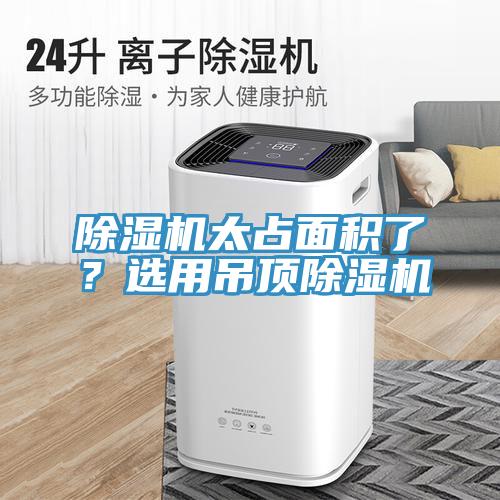 草莓视频污污污污太占麵積了？選用吊頂草莓视频污污污污
