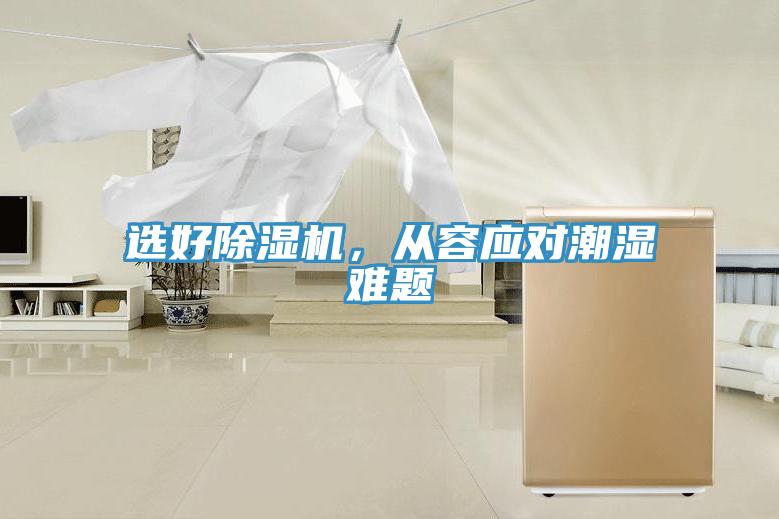 選好草莓视频污污污污，從容應對潮濕難題