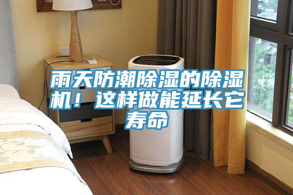 雨天防潮除濕的草莓视频污污污污！這樣做能延長它壽命