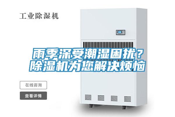 雨季深受潮濕困擾？草莓视频污污污污為您解決煩惱