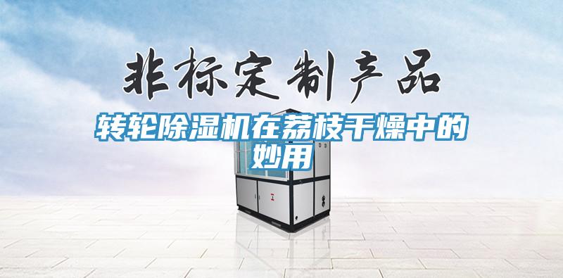 轉輪草莓视频污污污污在荔枝幹燥中的妙用