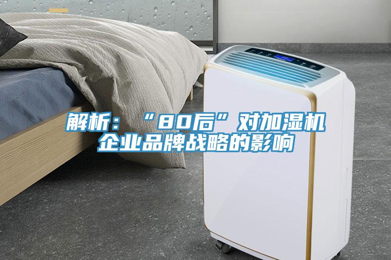 解析：“80後”對加濕機企業品牌戰略的影響