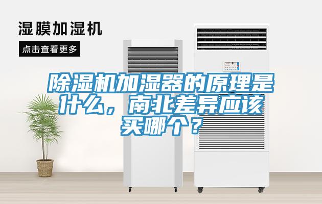 草莓视频污污污污加濕器的原理是什麽，南北差異應該買哪個？