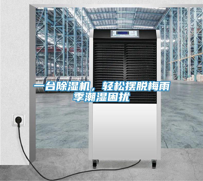 一台草莓视频污污污污，輕鬆擺脫梅雨季潮濕困擾