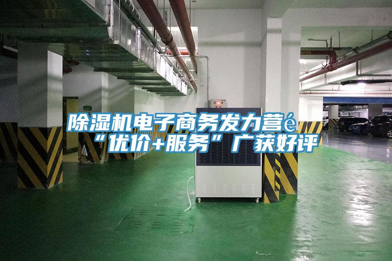 草莓视频污污污污電子商務發力營銷“優價+服務”廣獲好評