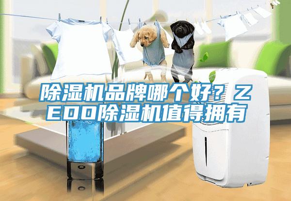 草莓视频污污污污品牌哪個好？ZEDO草莓视频污污污污值得擁有
