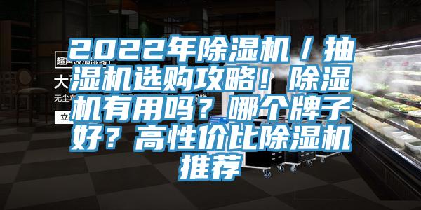 2022年草莓视频污污污污／抽濕機選購攻略！草莓视频污污污污有用嗎？哪個牌子好？高性價比草莓视频污污污污推薦