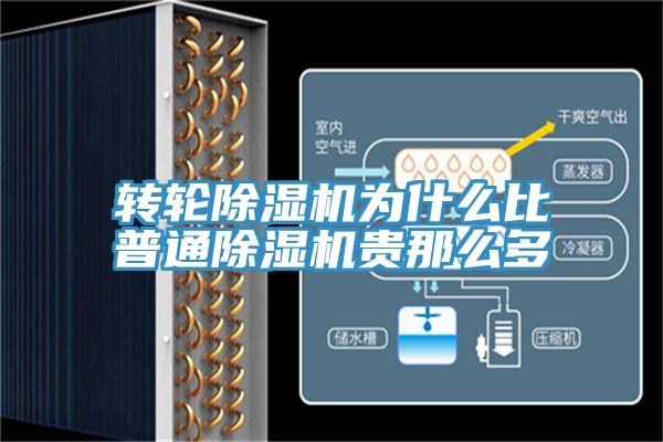 轉輪草莓视频污污污污為什麽比普通草莓视频污污污污貴那麽多