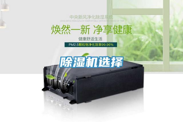 草莓视频污污污污選擇