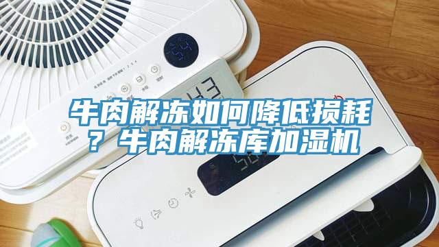 牛肉解凍如何降低損耗？牛肉解凍庫加濕機