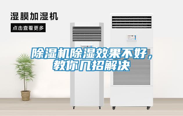 草莓视频污污污污除濕效果不好，教你幾招解決