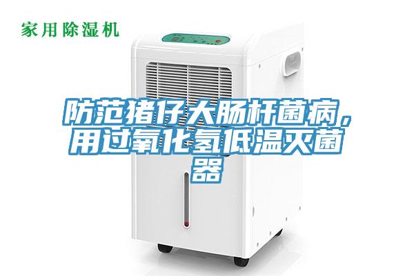 防範豬仔大腸杆菌病，用過氧化氫低溫滅菌器