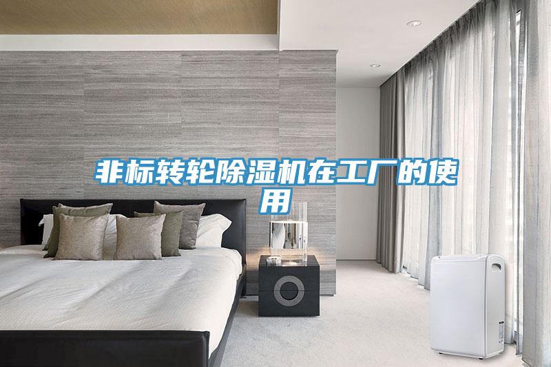 非標轉輪草莓视频污污污污在工廠的使用