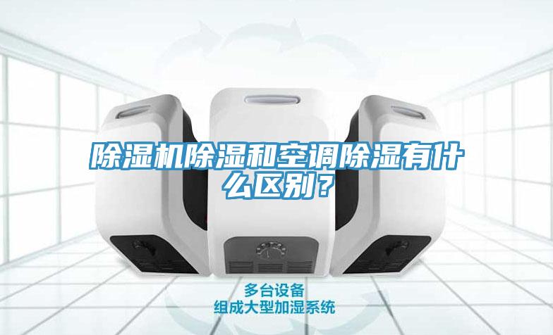 草莓视频污污污污除濕和空調除濕有什麽區別？