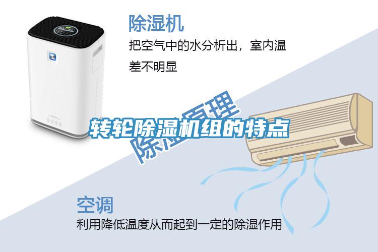轉輪草莓视频污污污污組的特點