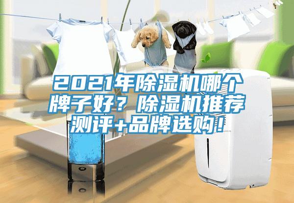 2021年草莓视频污污污污哪個牌子好？草莓视频污污污污推薦測評+品牌選購！