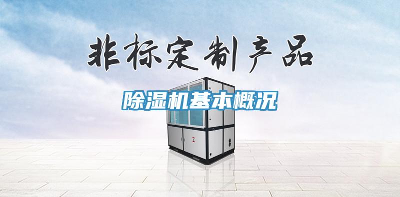 草莓视频污污污污基本概況