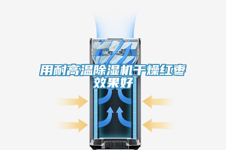 用耐高溫草莓视频污污污污幹燥紅棗效果好