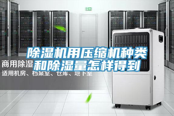 草莓视频污污污污用壓縮機種類和除濕量怎樣得到