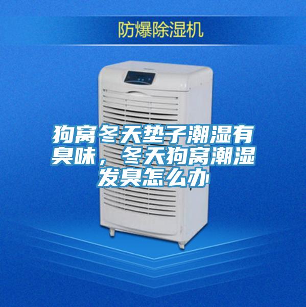 狗窩冬天墊子潮濕有臭味，冬天狗窩潮濕發臭怎麽辦