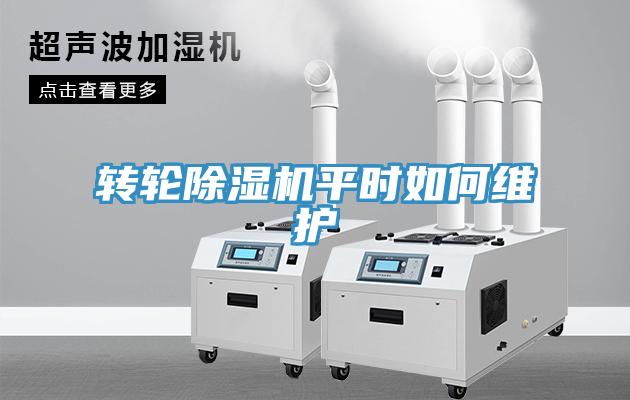 轉輪草莓视频污污污污平時如何維護