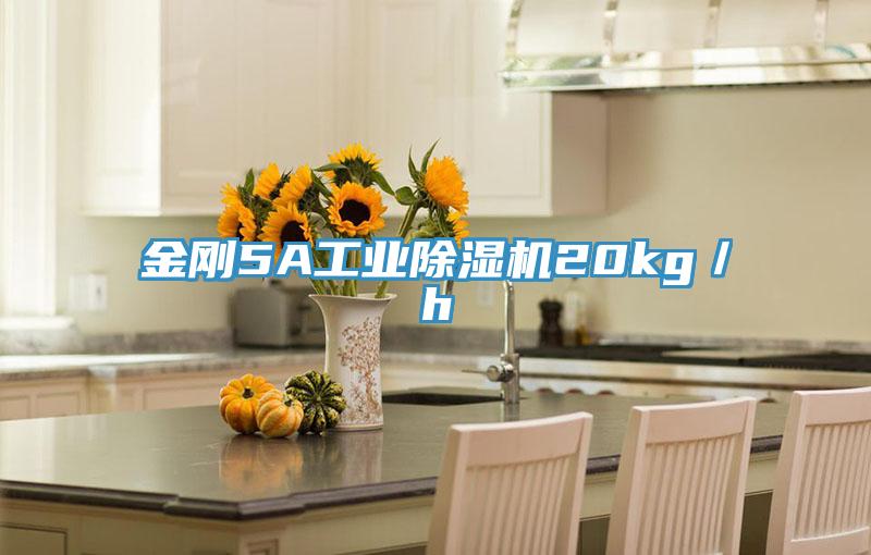 金剛5A工業草莓视频污污污污20kg／h