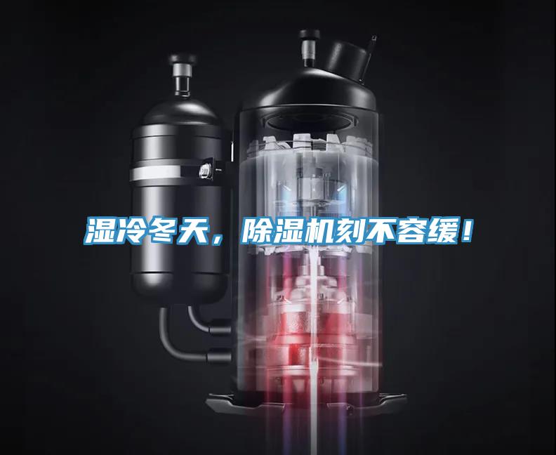 濕冷冬天，草莓视频污污污污刻不容緩！