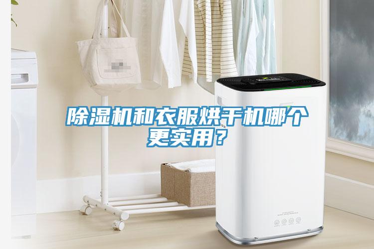 草莓视频污污污污和衣服烘幹機哪個更實用？