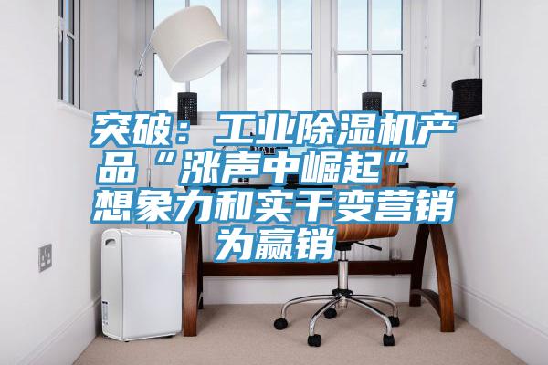 突破：工業草莓视频污污污污產品“漲聲中崛起” 想象力和實幹變營銷為贏銷