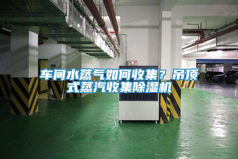 車間水蒸氣如何收集？吊頂式蒸汽收集草莓视频污污污污