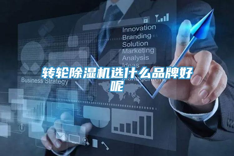 轉輪草莓视频污污污污選什麽品牌好呢