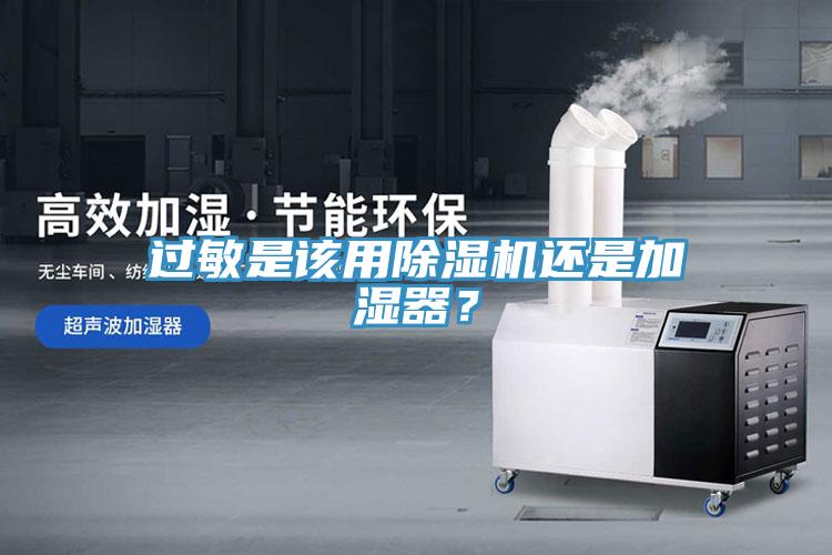 過敏是該用草莓视频污污污污還是加濕器？