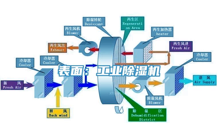 表麵：工業草莓视频污污污污