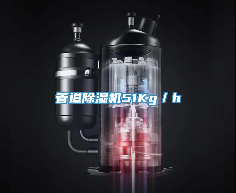 管道草莓视频污污污污51Kg／h