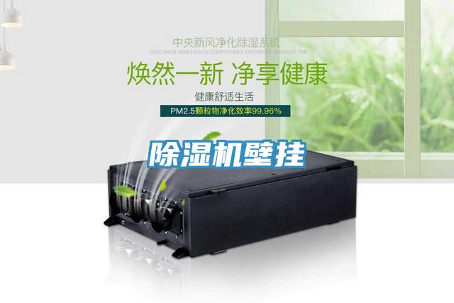 草莓视频污污污污壁掛