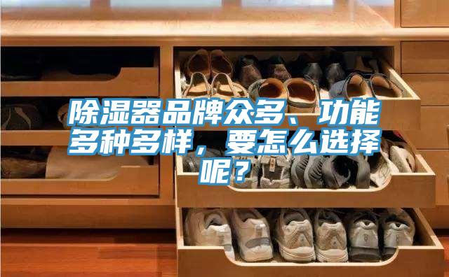 除濕器品牌眾多、功能多種多樣，要怎麽選擇呢？