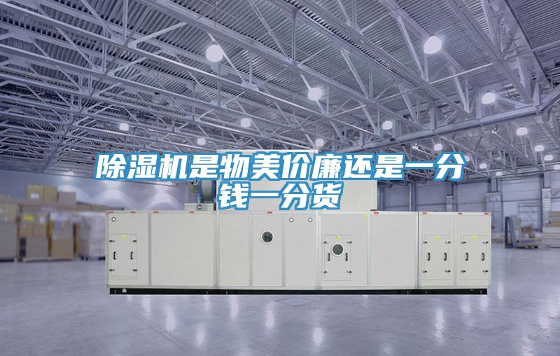 草莓视频污污污污是物美價廉還是一分錢一分貨