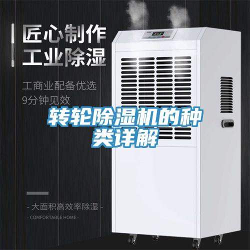 轉輪草莓视频污污污污的種類詳解