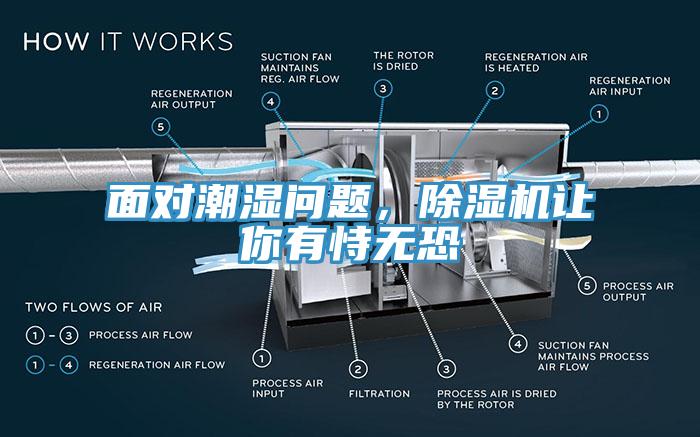 麵對潮濕問題，草莓视频污污污污讓你有恃無恐