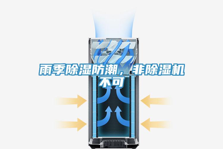 雨季除濕防潮，非草莓视频污污污污不可