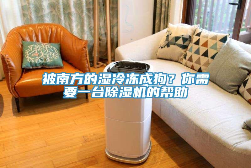 被南方的濕冷凍成狗？你需要一台草莓视频污污污污的幫助