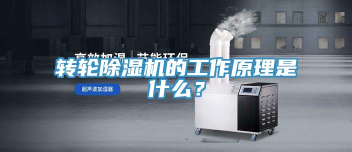 轉輪草莓视频污污污污的工作原理是什麽？