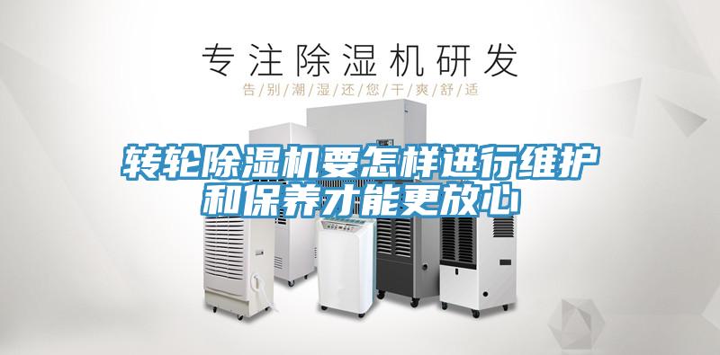 轉輪草莓视频污污污污要怎樣進行維護和保養才能更放心