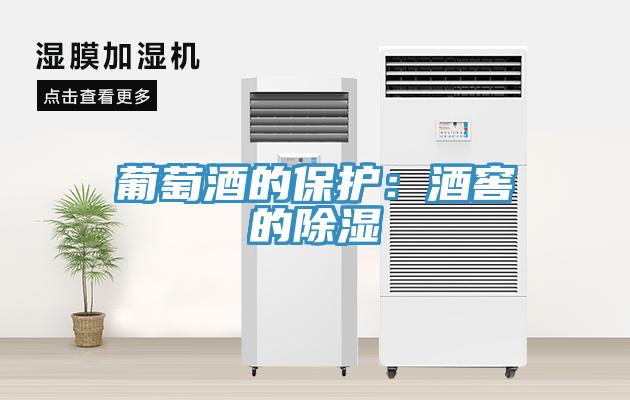 葡萄酒的保護：酒窖的除濕