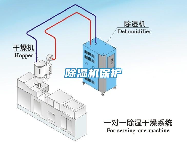 草莓视频污污污污保護