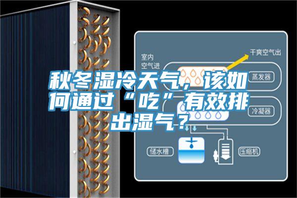 秋冬濕冷天氣，該如何通過“吃”有效排出濕氣？